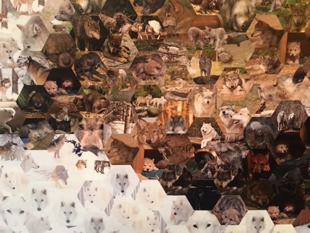 Mosaic at International Wolf Center