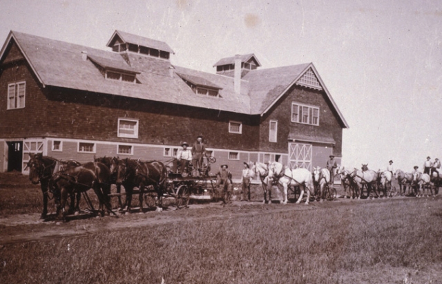 Black and white photograph of teams of horses with equipment and drivers in front of a barn, 1910.