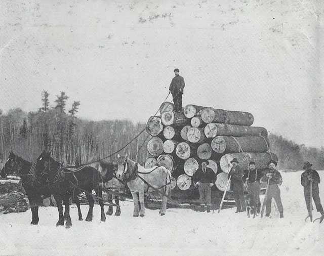 Black and white photograph of of loggers and banked logs taken from E. D. Childs photo album, ca. 1890–1920.