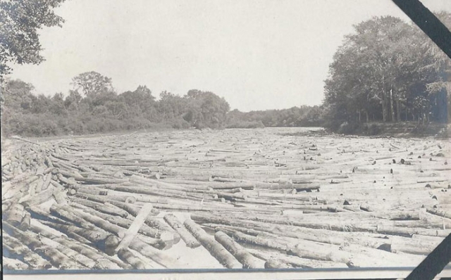 Black and white photograph of logs in the Red Lake River at Crookston, ca. 1890–1910.