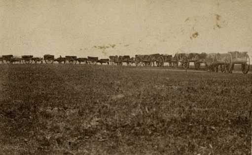 Black and white photograph of an ox-cart train on a Red River trail, ca. 1860. 