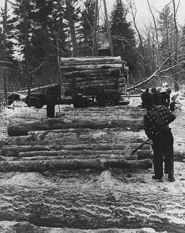 Ojibwe men loading logs on Ponemah Point, Red Lake Indian Reservation