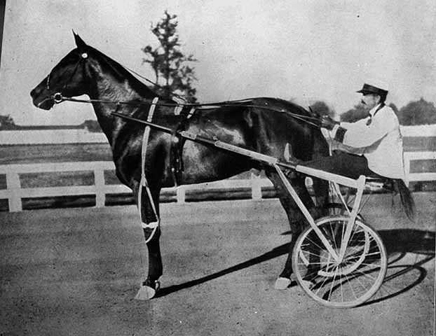 Dan Patch and driver circa 1904 (Photo Courtesy of the Minnesota Historical Society)