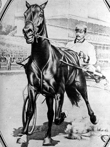 Dan Patch and driver.