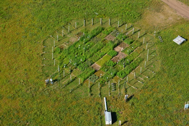 Aerial view of BioCON, a free carbon experiment investigating the effects of global change on ecosystems, in Cedar Creek Ecosystem Science Reserve.