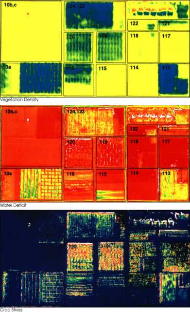 Color image of emotely sensed image of a farm field illustrating vegetation density, water deficit, and crop stress, 2010.