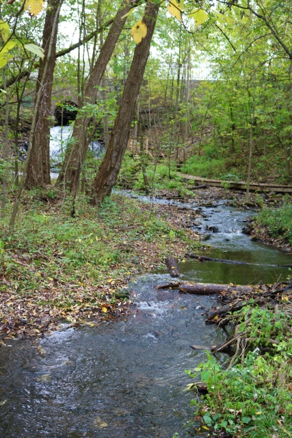 Waterfall and stream at Marine Mills historic site