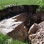 Color image of a pipe quarry pit, Pipestone National Monument, 2009. Photograph by the National Park Service.