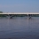 Color image of the Anoka–Champlin Mississippi River Bridge carrying U.S. Route 169, 2013. Photographed by Wikimedia Commons user McGhiever. 