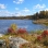 Color image of the rocky shoreline in Lake Vermilion–Soudan Underground Mine State Park. Photograph by Minnesota Department of Natural Resources Staff.