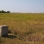 Birch Coulee battlefield monument