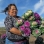 Xee Yang harvesting kale flowers