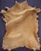 Tanned deer hide