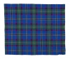 Official Minnesota tartan