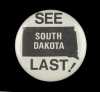 American Indian Movement button