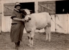 Black and white photograph of a 4-H Club exhibitor with a dairy steer at the Murray County Fair, ca. 1920s.