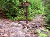 Color image of the junction of the rugged Eagle Mountain and Brule Lake trails in the Boundary Waters Canoe Area of Minnesota, 2006.