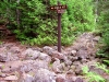 Color image of the junction of the rugged Eagle Mountain and Brule Lake trails in the Boundary Waters Canoe Area of Minnesota, 2006.