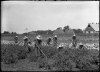 Incarcerated women cultivating a field