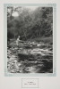 : A stream in Whitewater State Park, ca. 1917. Original caption: “Riffles above Sand Rock.” From The Paradise of Minnesota: The Proposed Whitewater State Park (L. A. Warming, 1917).