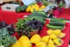 Dream of Wild Health table at a farmers’ market