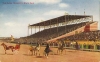 Colored postcard depicting harness-racing at the Minnesota State Fair Grandstand, c. 1910.