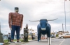 Paul Bunyan and Babe the Blue Ox statues, ca. 1950s