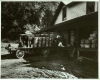 photograph of the fruit breeding farm