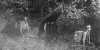 Black and white photograph of from left to right: Leonidas, John, and Bert Merritt exploring, 1890.
