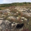 Color image of an outcrop of gneiss in Morton, 2016. Photograph by Paul Nelson. 