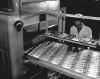 Pearson Candy Company employee checking chocolates on conveyor belt, St. Paul, ca. 1970.