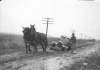 Horses pulling a car out of mud on a dirt road 