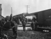 Black and white photopgrah of people loading horse and possessions of homesteaders into Great Northern Railway boxcar, date unknown.