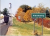 Amish Buggy Entering Harmony, Minnesota