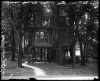 Treehouse residence of Dr. Charles F. Dight, 4818 Thirty-ninth Avenue South, Minneapolis, July 21, 1930.