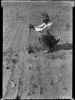 Black and white photograph of a combination of cut worms and heat has destroyed the corn on this farm, six miles east of Appleton in Swift County, 1936.