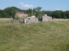 Color image of the remains of the Fort Ripley powder magazine, 2005.  