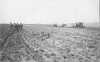 Black and white photograph of a horse and tractor farming in Roseau County, ca. 1920.