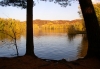 Riverside trail in William O’Brien State Park