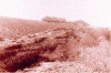 Black and white photograph of a compressional ridge near archway, 1909. 