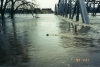 Red River at a water level of 54.50 feet