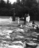 Visitors at Mississippi River headwaters, Itasca State Park