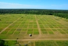 Aerial view of the BigBio project inside Cedar Creek Ecosystem Science Reserve.