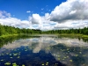 Cedar Bog Lake