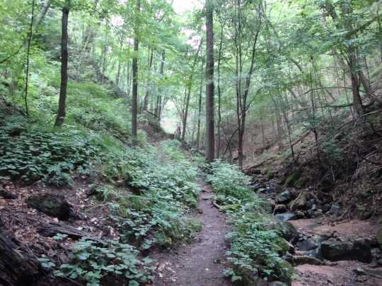 Color image of Bluff trail at Interstate State Park, 2015. Photograph by Minnesota Department of Natural Resources Staff.