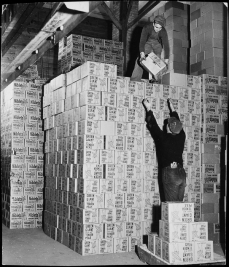 Stacking cartons of Green Giant peas and corn, Minnesota Valley Canning Company, LeSueur.