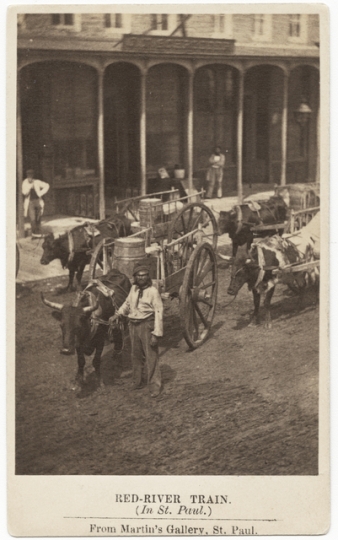 Black and white photograph of a man and a Red River cart train, ca. 1859. Photograph by Martin’s Gallery.