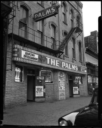 Persian Palms Tavern