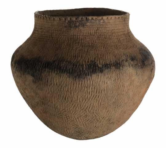 Ancient ceramic vessel with evidence of wild rice