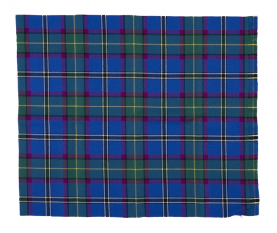 Official Minnesota tartan